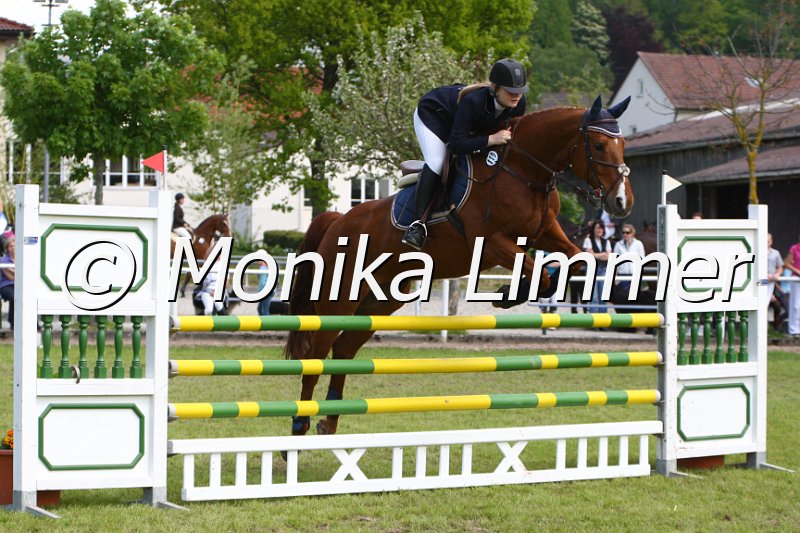 005M5119_Filou_L Springen.JPG